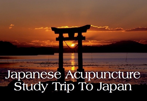 Japanese Acupuncture: Study Trip to Japan